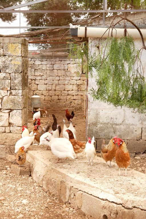 Masseria Curatori Monopoli Ngoại thất bức ảnh