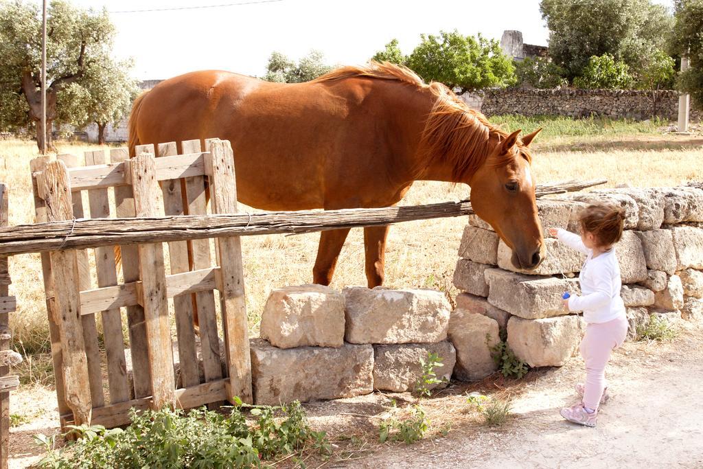 Masseria Curatori Monopoli Ngoại thất bức ảnh